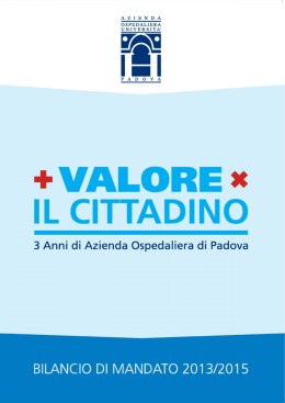 Scarica il documento analitico - I cinque pilastri