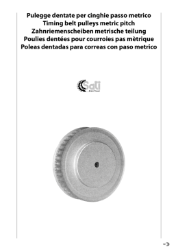 P.D. p. metrico T per cinghie