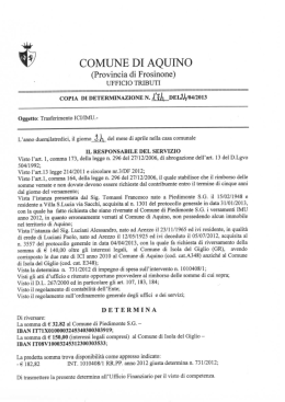 determinazione n. 174/13