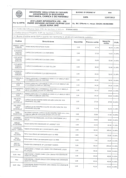 UNIVERSITA` DEGLI STUDI DI CAGLIARI