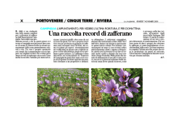 X PORTOVENERE / CINQUE TERRE / RIVIERA