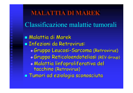 MALATTIA DI MAREK3stampa - E