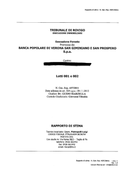 TRIBUNALE DI ROVIGO ESECUZIONE IMMOBILIARE