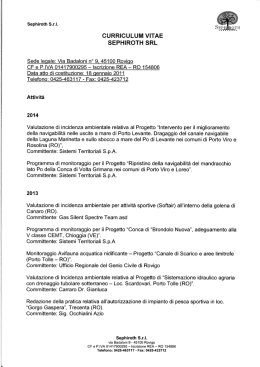 CURRICULUM VITAE SEPHIROTH SRL