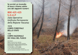 Brochure prevenzione incendi - Parco di Migliarino, San Rossore