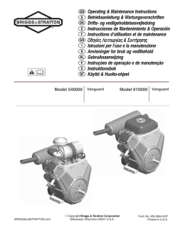 Scarica PDF - Briggs & Stratton