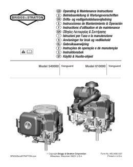 Scarica PDF - Briggs & Stratton