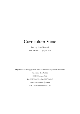 Curriculum Vitae - Enzo Martinelli