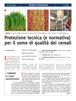 Protezione tecnica (e normativa) per il seme di qualità dei cereali