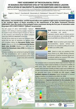 first assessment of the ecological status in seagrass