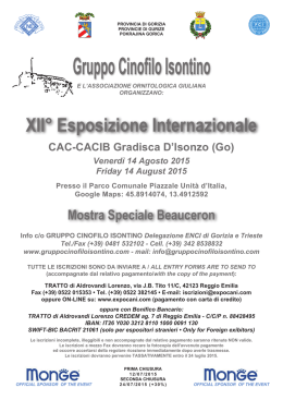 LOCANDINA INTERNAZIONALE 2015