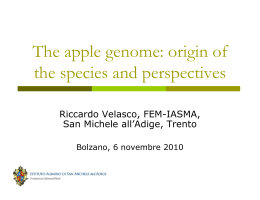 The apple genome: origin of the species and