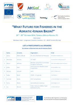 what future for fisheries in the adriatic-ionian basin?
