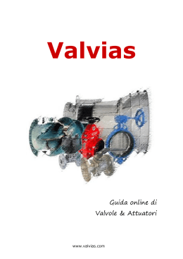 Guida online di Valvole & Attuatori