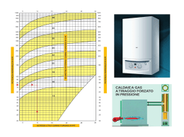 CALDAIE A GAS A TIRAGGIO FORZATO IN PRESSIONE
