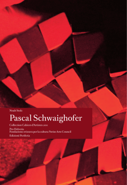 Pascal Schwaighofer - Cahiers d`Artistes