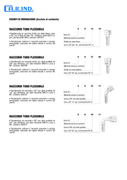 serie 80 - CA.R.IND, S.r.l.