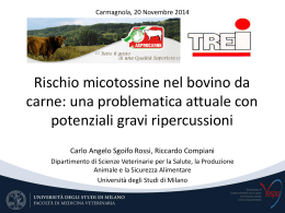 trei 20/11/14: rischio micotossine nel bovino da carne