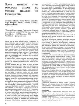 PATOGENI TELLURICI SU CICHORIUM SPP.