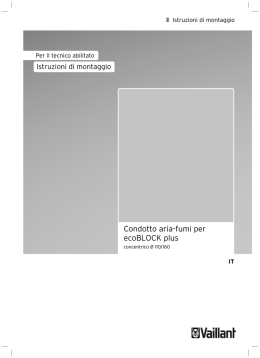 Istruzioni fumisteria ecoBLOCK plus alta potenza singola