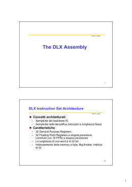 The DLX Assembly