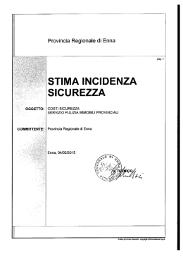 Stima della sicurezza - Provincia Regionale di Enna