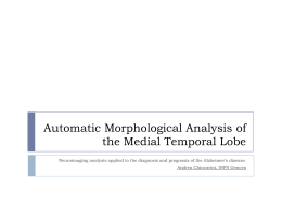 Automatic Morphological Analysis of the Medial Temporal Lobe
