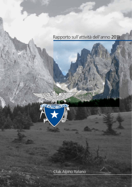 Rapporto attività 2011