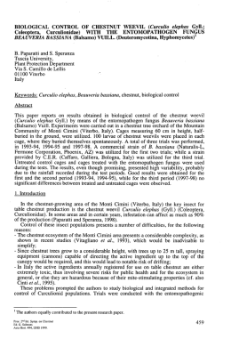 Biological Control of chestnut weevil 1999