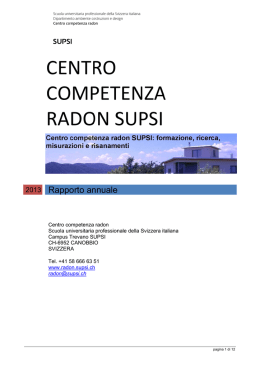 Rapporto annuale CCR 2013