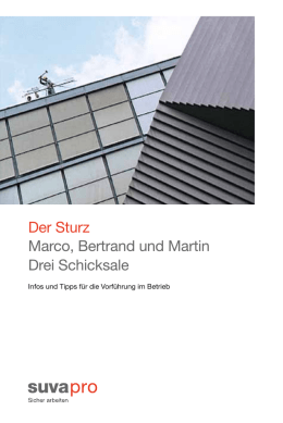 Der Sturz/La chute/La caduta: Marco, Bertrand und Martin
