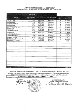 LC. TIVOLI III RMIC8GOOOG C.P. . 86007030587 INDICE