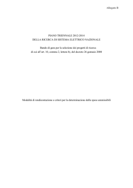 Allegato B - Ministero dello Sviluppo Economico