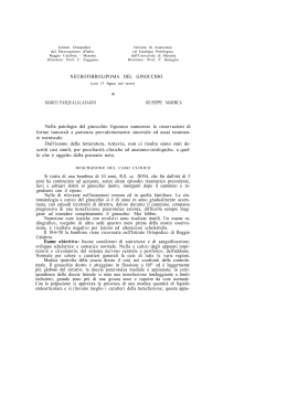 Acta n.4-1958 articolo 21