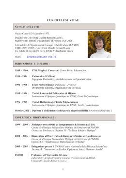 curriculum vitae