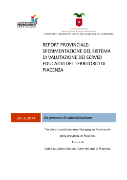 Report provinciale 2013-2014