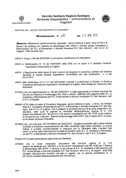 Determinazione n. 181 del 22.04.2013
