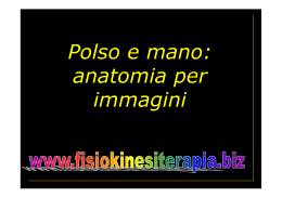 Polso e mano: anatomia per immagini