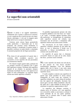 Versione PDF - Dipartimento di Matematica e Fisica