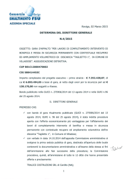 Determina di aggiudicazione definitiva del Direttore generale n. 4