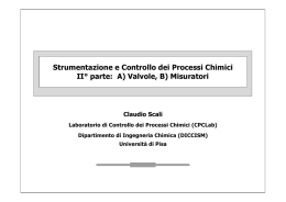 P - Il portale dell`ingegneria chimica di pisa