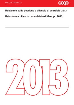 Il Bilancio al 31.12.2013