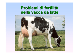 Principali relazioni tra alimentazione e fertilità nella vacca da latte