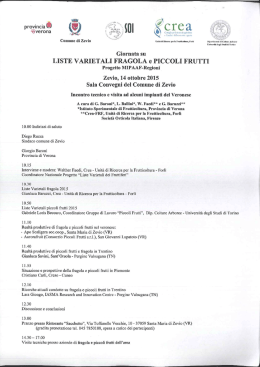 provincia&reg; Q 55%.": `UI \&ldquo; C I e a