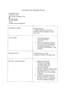 Curriculum vitae Rosangela Peruzzo