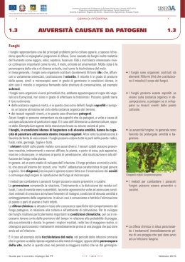 scheda 1.3 - Veneto Agricoltura