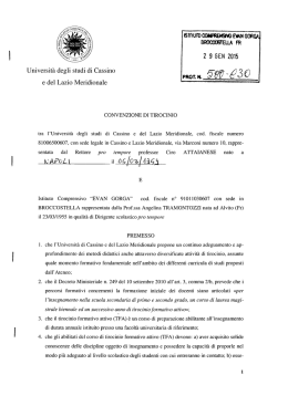 universita` degli studi di cassino e del lazio meridionale