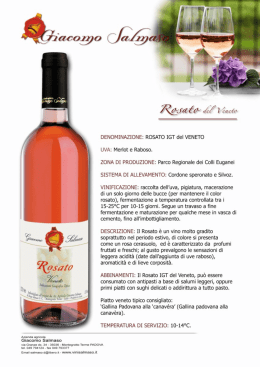 Scarica questa scheda in pdf