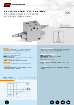 dual cross relief valve with pilot check valve vbau