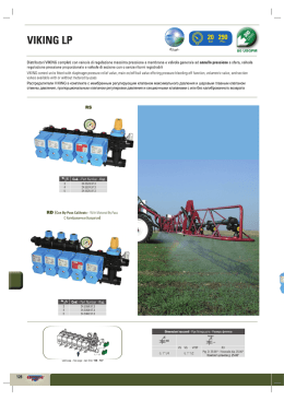 VIKING LP _ be, - Bertolini Pumps